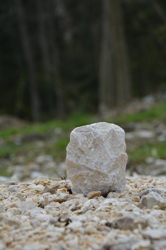 Close-up view of a natural stone on gravel with a forest backdrop.