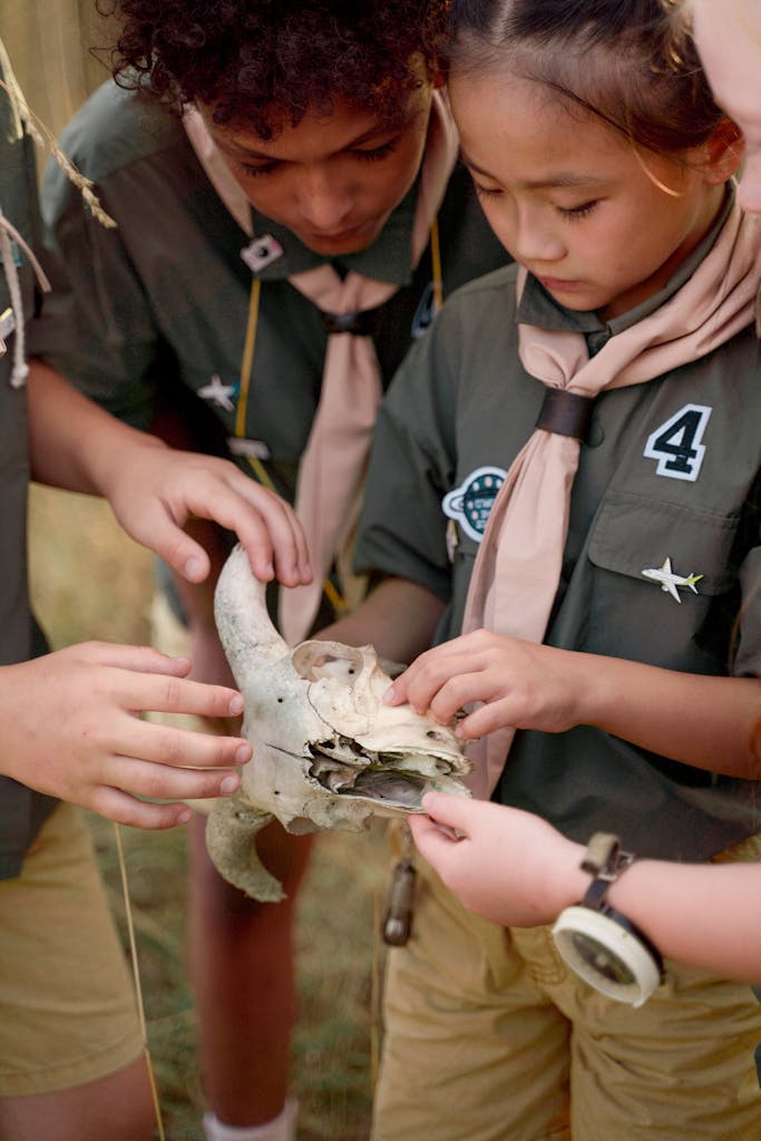 Curious young scouts examining a skull outdoors during a summer camp program.