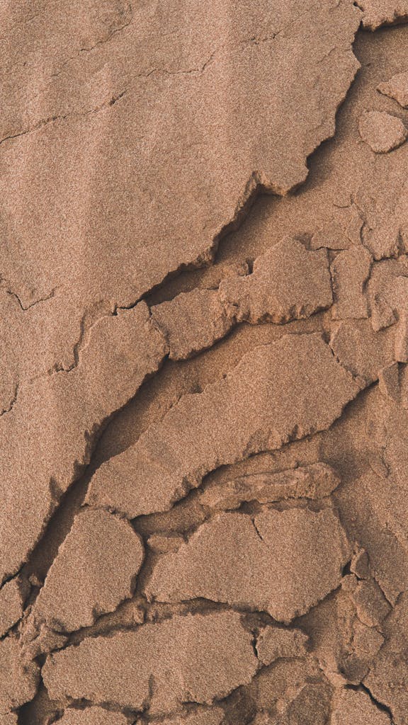 Detailed cracked sand texture creates a natural earthy pattern.