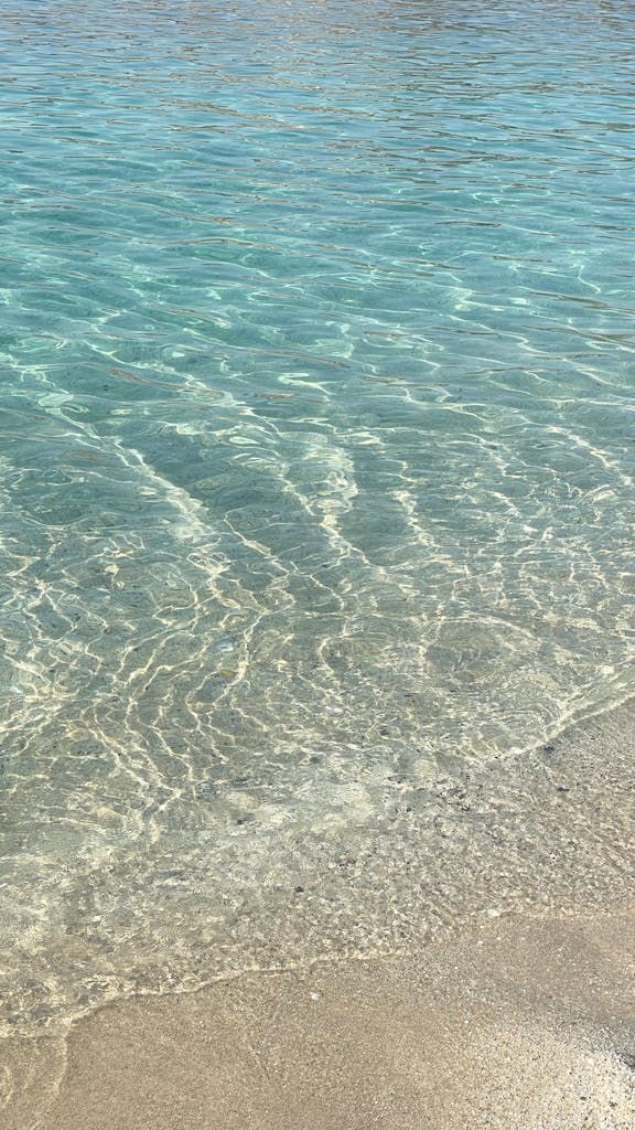 Clear turquoise waters gently lap against a sandy shore, perfect for a tropical getaway.