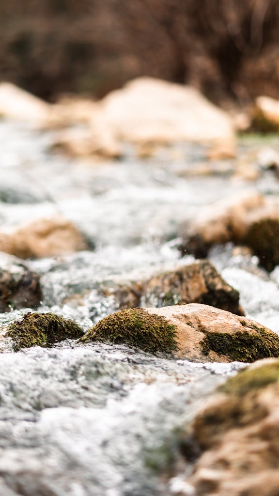 Close-up of moss-covered rocks in a gentle stream, capturing the serene beauty of nature.