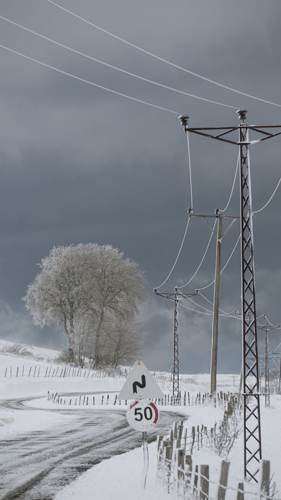 Snow-covered rural road with tree and power lines under a cloudy sky.